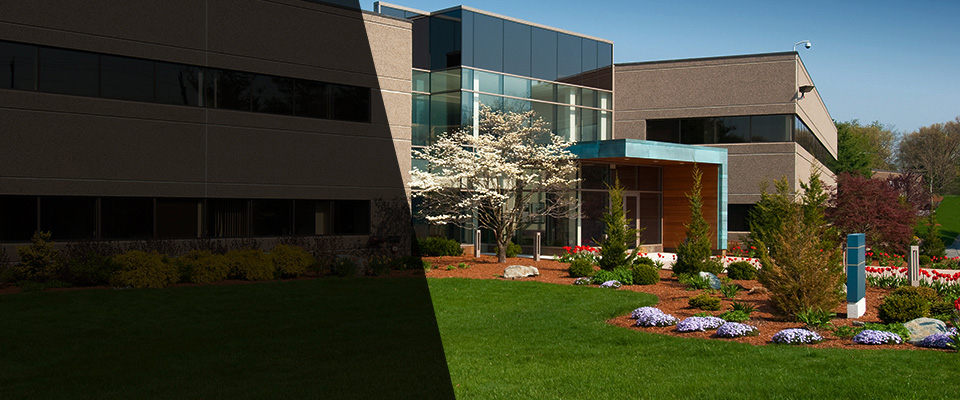 Ridge Spring Landscapers
