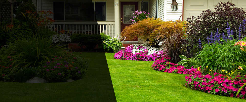Ridge Spring Landscapers