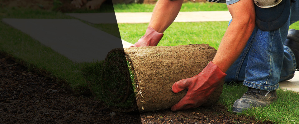 Ridge Spring Landscapers